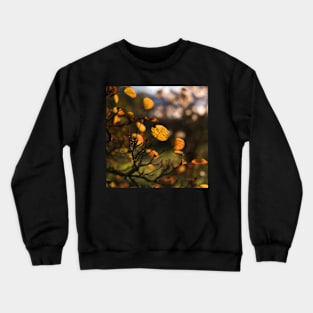 Snayle Fall Crewneck Sweatshirt